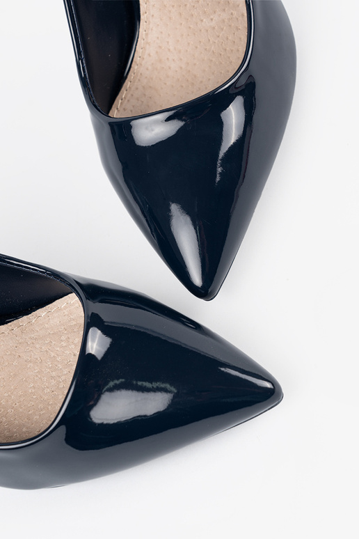 Tumši zilas krāsas lakotas...