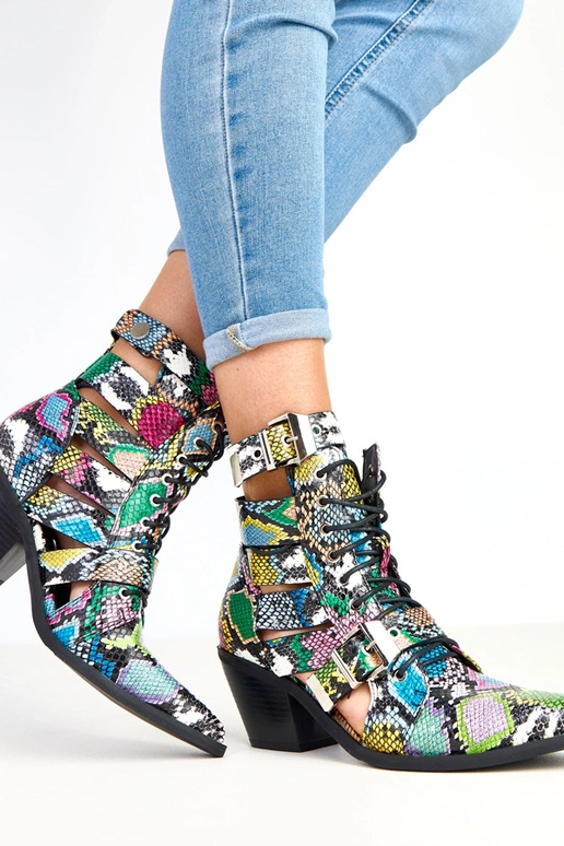 Daudzkrāsainas botīnes uz papēža ar...