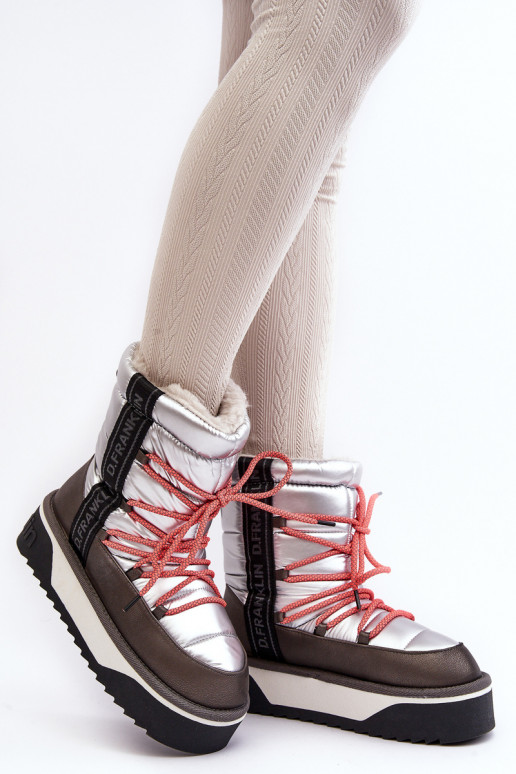 sniega apavi Sieviešu Uz biezas zoles Vegāns D.Franklin DFSH371006 Sudraba krāsas sniega apavi Sieviešu Uz biezas zoles Vegāns D.Franklin DFSH371006 Sudraba krāsas