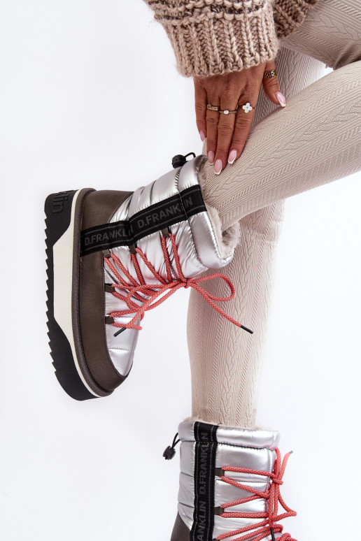 sniega apavi Sieviešu Uz biezas zoles Vegāns D.Franklin DFSH371006 Sudraba krāsas sniega apavi Sieviešu Uz biezas zoles Vegāns D.Franklin DFSH371006 Sudraba krāsas