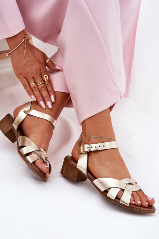 Sieviešu basenes Ieslēgts Delikātsm Obcasie Zazoo 40372 Zelta krāsas Sieviešu basenes Ieslēgts Delikātsm Obcasie Zazoo 40372 Zelta krāsas