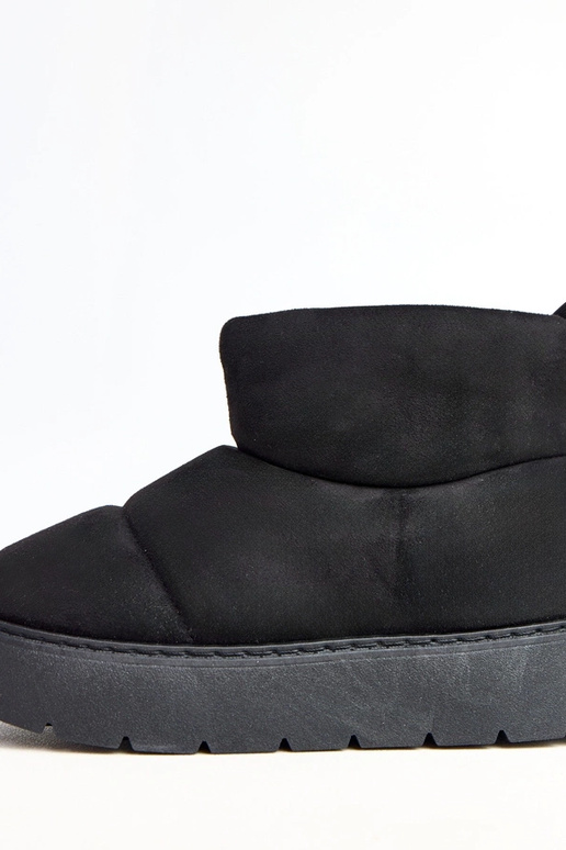 Melni siltie sniega zābaki uz...