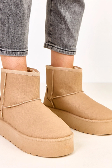 Brūnas zemas sniega... 2