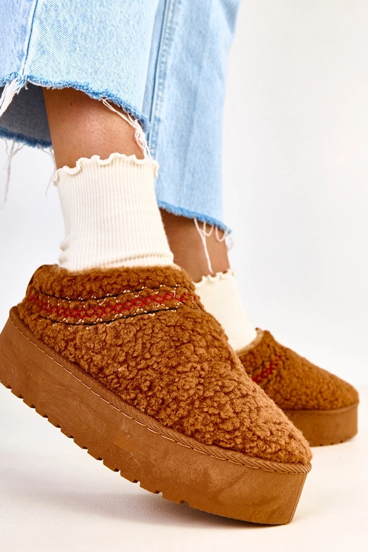 Royana brūni zemi sniega zābaki uz...