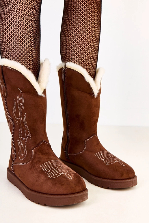 Darena brūni sniega zābaki ar...