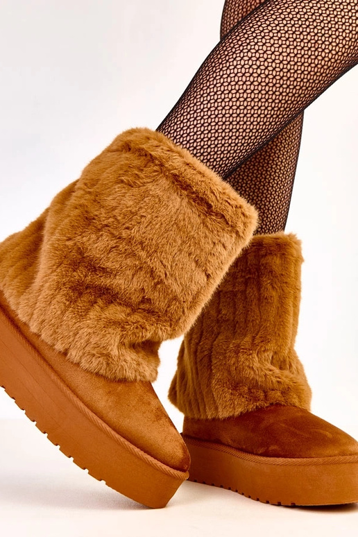 Leda brūni sniega zābaki uz...