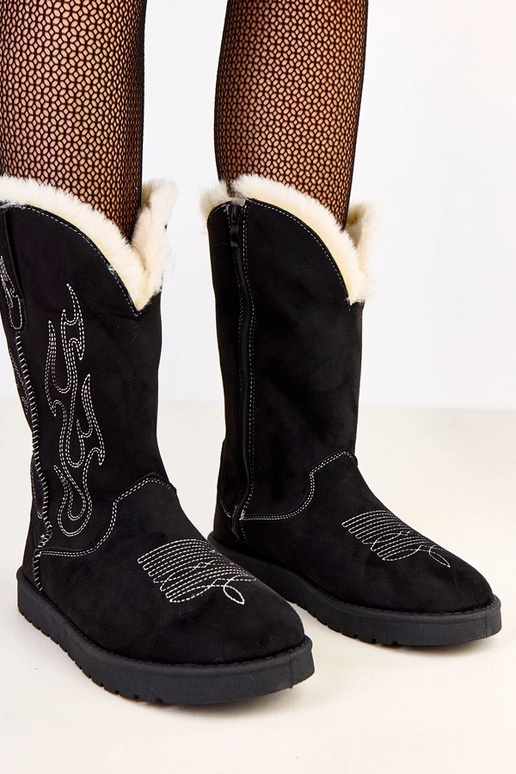 Darena melni sniega zābaki ar...