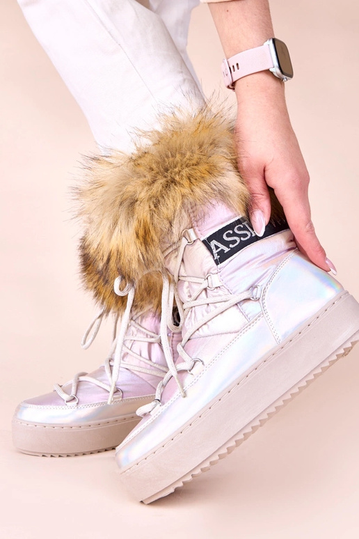 Sudrāzti sniega zābaki ar rozā...