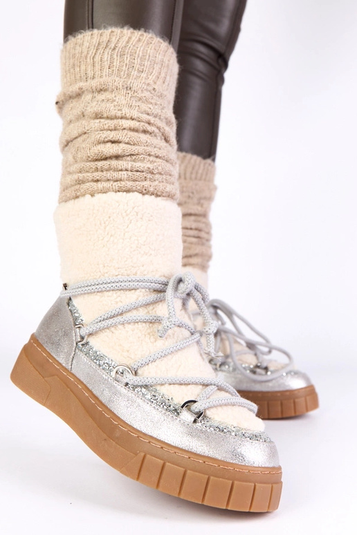 Sudrabaini silti sniega zābaki ar...