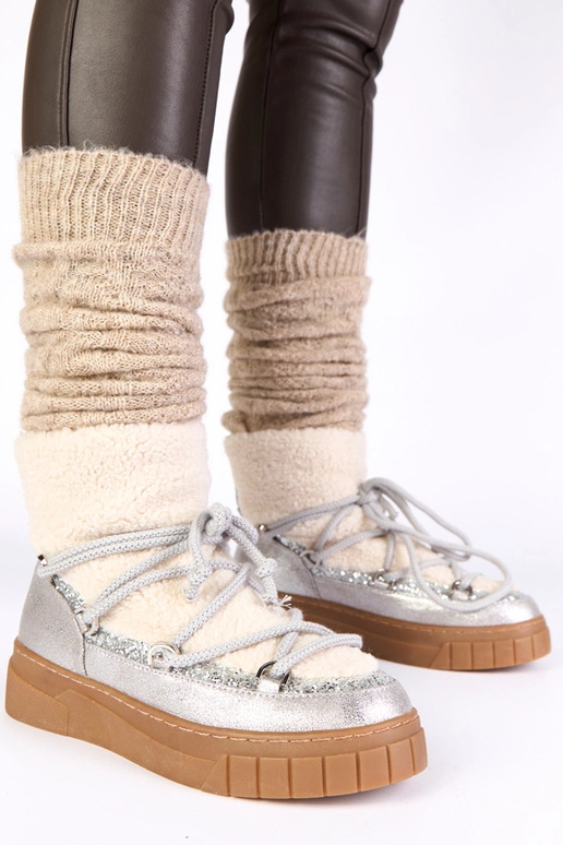 Sudrabaini silti sniega zābaki ar...