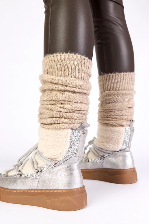 Sudrabaini silti sniega zābaki ar...