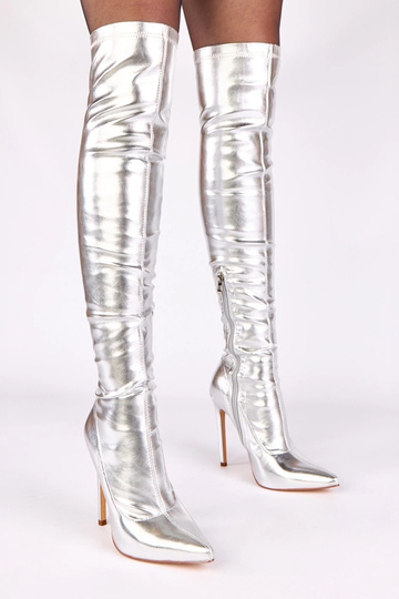 Sudraba zābaki uz augsta...