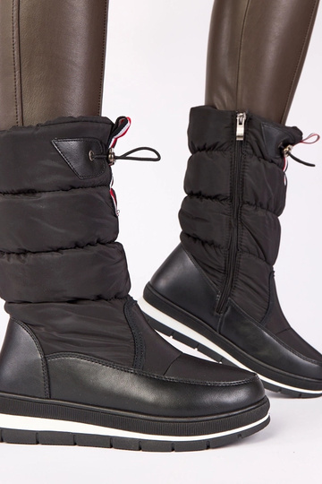 Melni sniega zābaki uz zema...