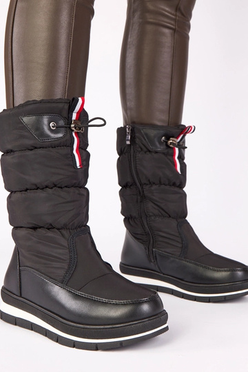 Melni sniega zābaki uz zema... 2