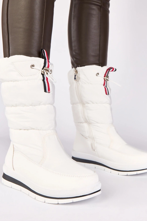 Balti sniega zābaki uz zema papēža ar...