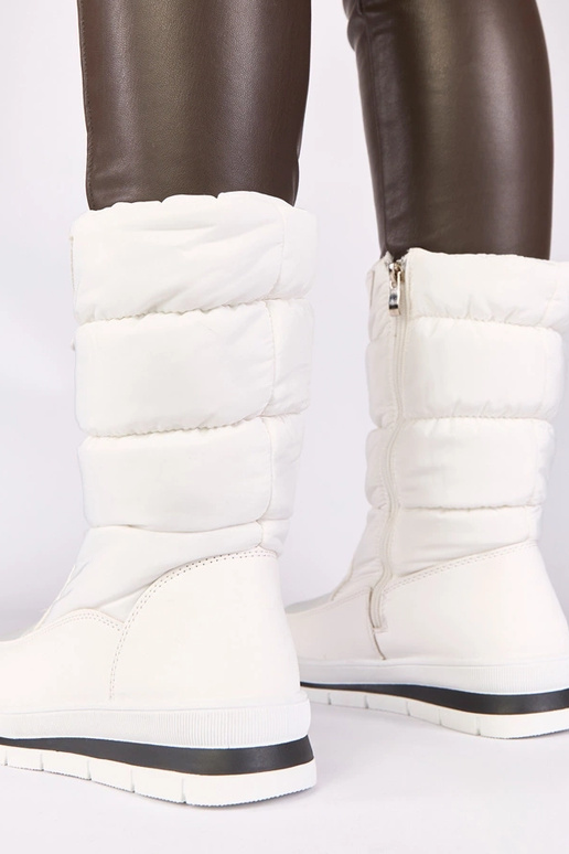 Balti sniega zābaki uz zema papēža ar...