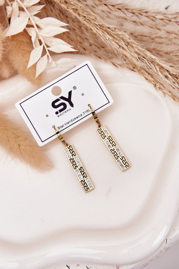 ar stilīgām detaļāmi INiszące ar mirdzošiem spīdumiņiem Stal Pozłacana