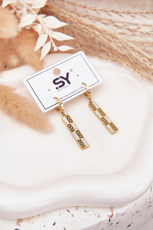 ar stilīgām detaļāmi INiszące ar mirdzošiem spīdumiņiem Stal Pozłacana