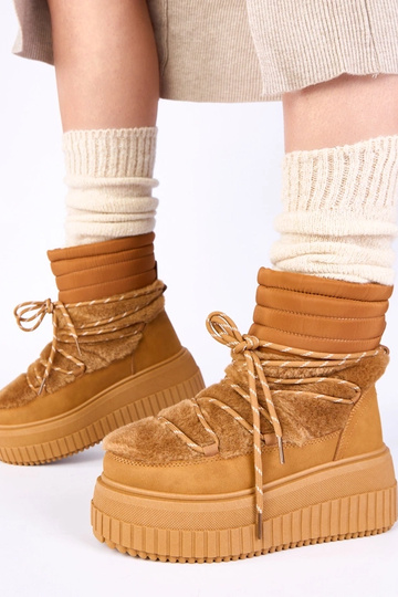 Brūni sniega zābaki uz... 2