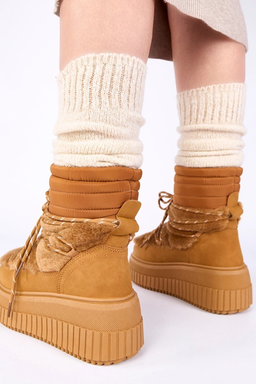 Brūni sniega zābaki uz platformas ar...