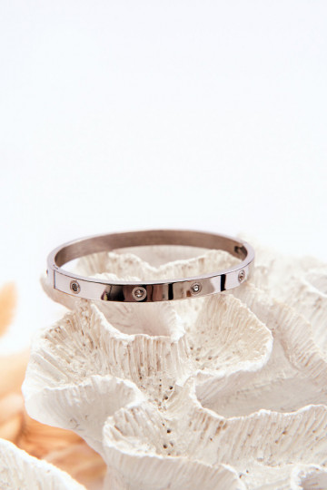 Aproce ar mirdzošiem spīdumiņiem Sudraba krāsas Lauren 2