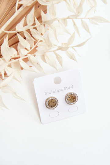 Nerūsējošā tērauda auskari Zelta krāsas 2