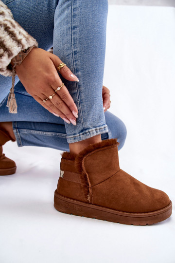 Sieviešu Sieviešu puszābaki sniega apavi Big Star KK274620 brūnas krāsas