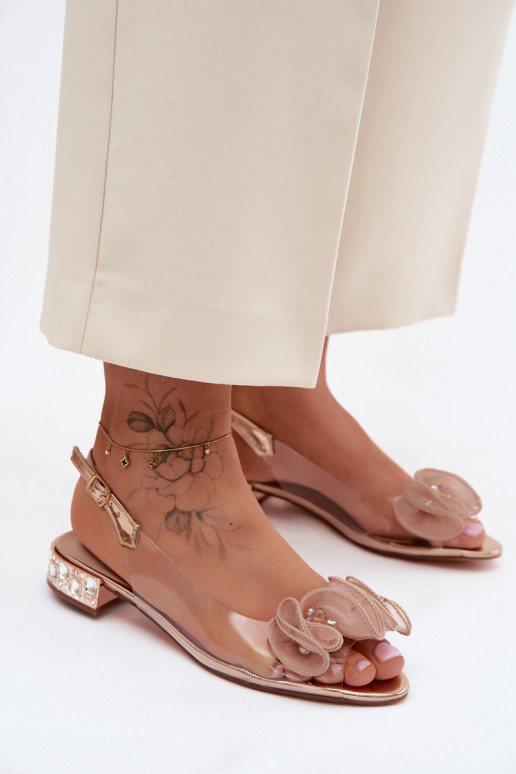 Sieviešu basenes Caurspīdīgas ar mirdzošiem spīdumiem D&A MR61-9002 Zelta krāsas