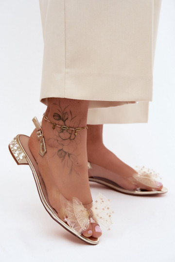 Sieviešu basenes Caurspīdīgas ar bantītēm D&A MR61-9001 Zelta krāsas 2