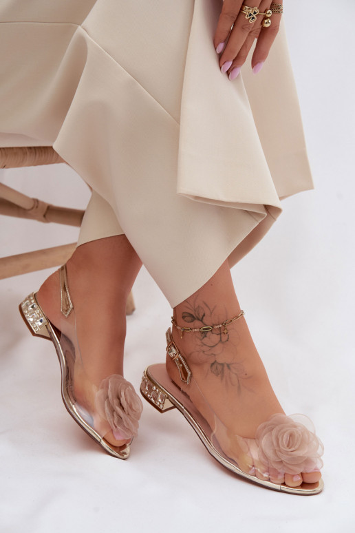 Sieviešu basenes CaurspīdīgasRoze D&A MR61-9003 Zelta krāsas