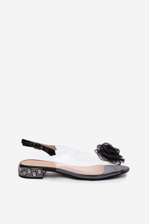 Sieviešu basenes CaurspīdīgasRoze D&A MR61-9003 melnas krāsas