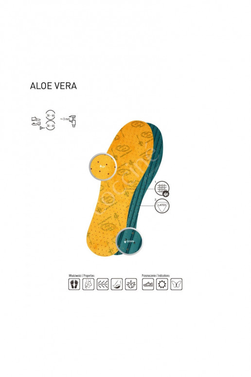 Coccine  Leliktņi  ALOE VERA