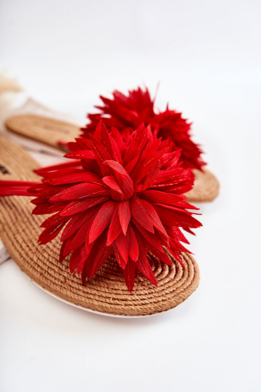 Čības modernas iešļūcenes  sarkanas krāsas Eviana