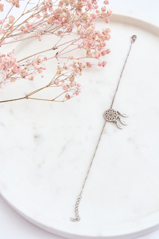 Aproce   Sudraba krāsas Aproce   Sudraba krāsas