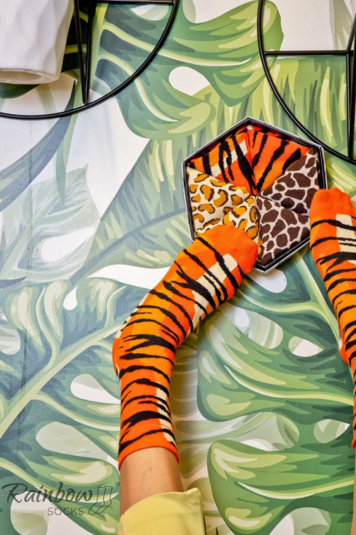 Varavīksnes zeķes   3 Pāris Varavīksnes zeķes   3 Pāris