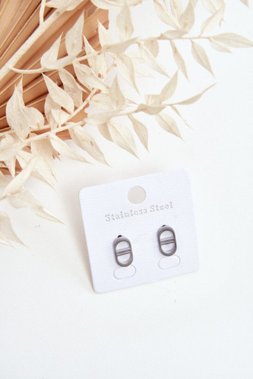 Stilīgi auskari Sudraba krāsas Stilīgi auskari Sudraba krāsas