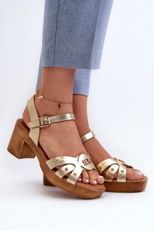 Sieviešu basenes ar papēdi no eko ādas Zelta krāsas Assames Sieviešu basenes ar papēdi no eko ādas Zelta krāsas Assames