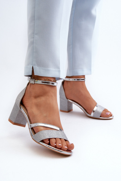 Spīdīgas basenes    Sudraba krāsas Ploemis