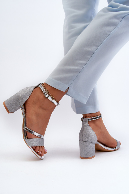 Spīdīgas basenes    Sudraba krāsas Ploemis