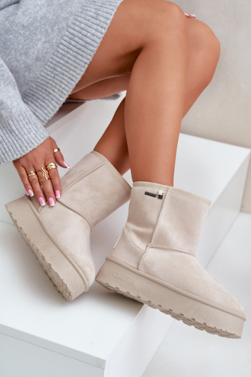 Augsti sniega zābaki ar platformu Big... Augsti sniega zābaki ar platformu Big...